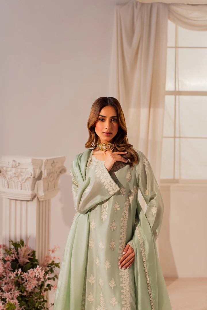 Mishelle Embroidered Suit Set With Dupatta - Image 5