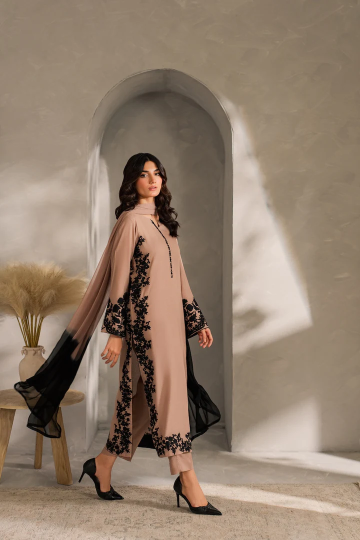 Remi Embroidered Suit Set With Dupatta