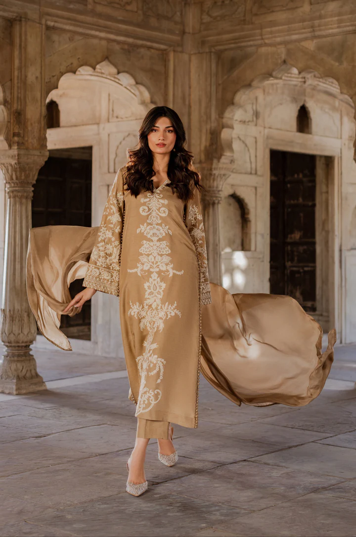 Meena Embroidered Suit Set With Dupatta