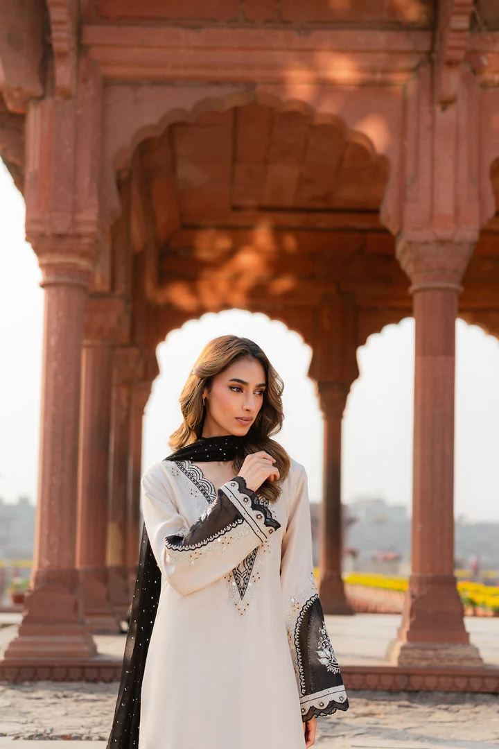 Naba Embroidered Suit Set With Dupatta - Image 6