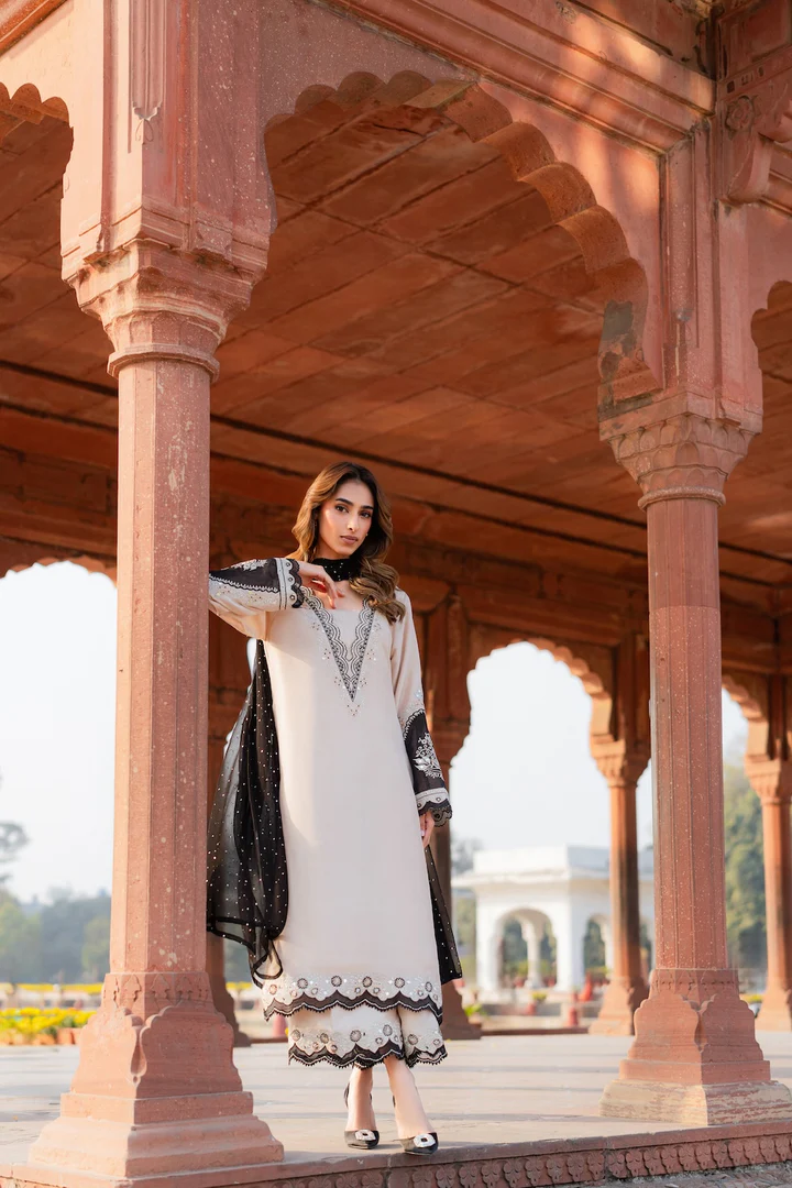 Naba Embroidered Suit Set With Dupatta - Image 3