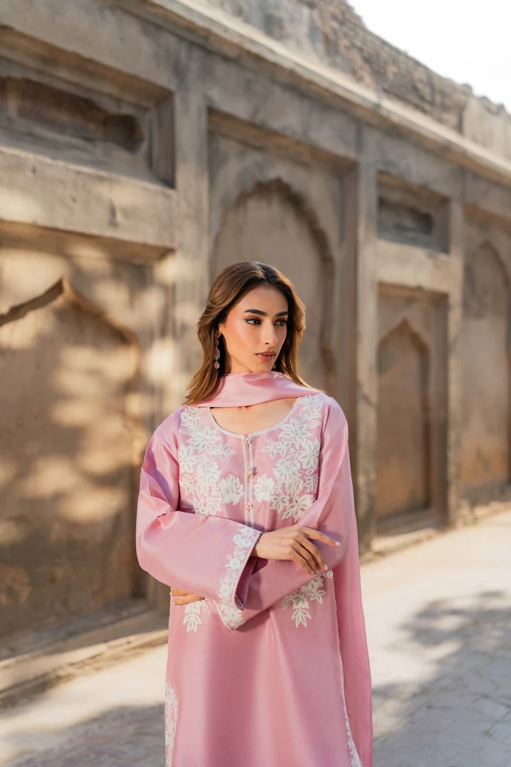 Mirha Embroidered Suit set with Dupatta - Image 11