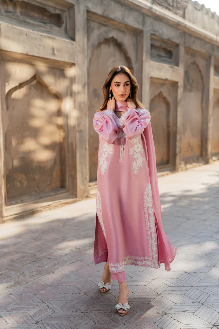 Mirha Embroidered Suit set with Dupatta - Image 10