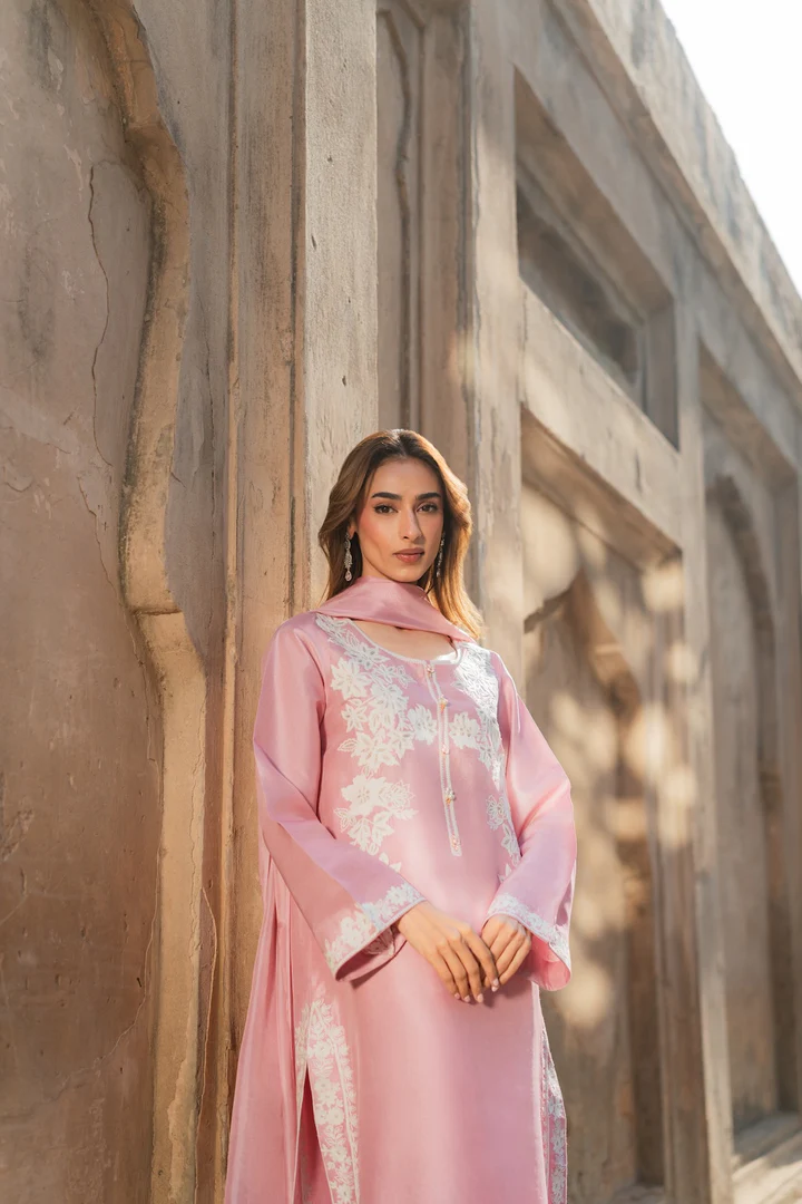 Mirha Embroidered Suit set with Dupatta - Image 9