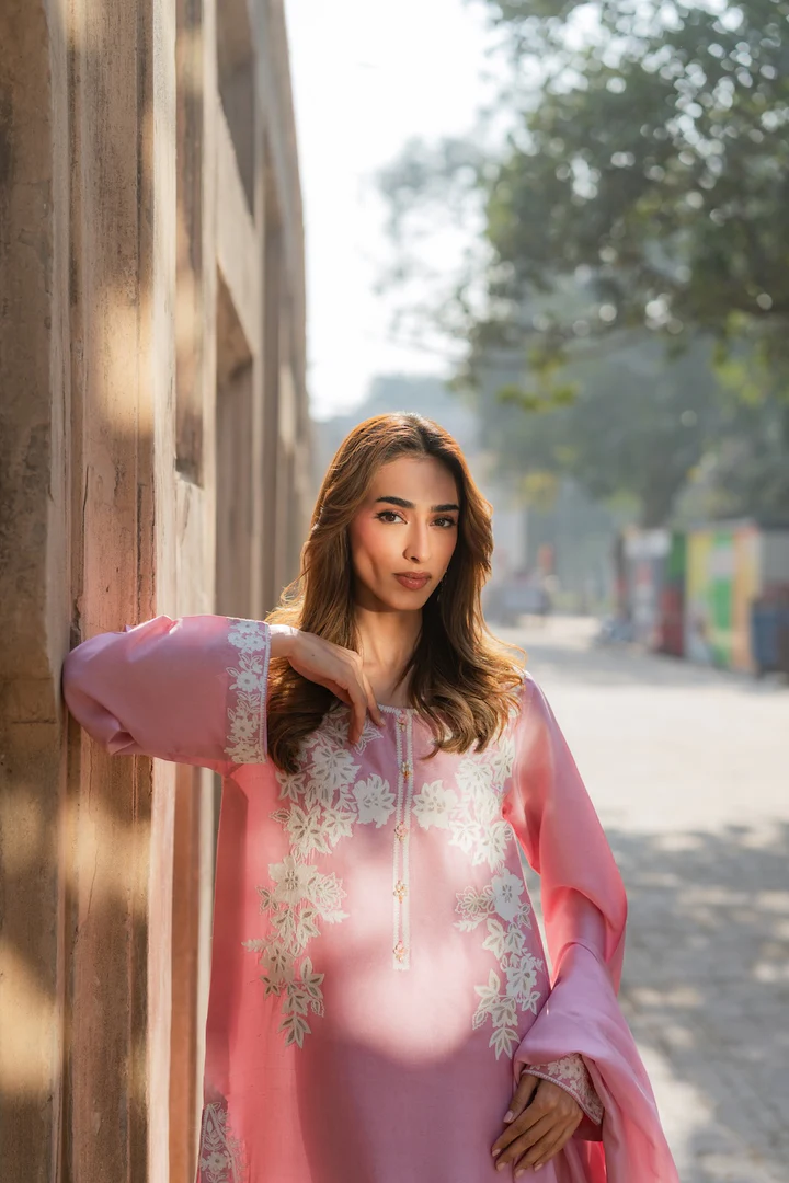 Mirha Embroidered Suit set with Dupatta - Image 8